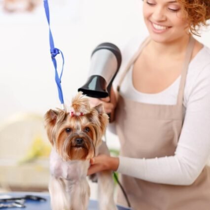Peluquería y estética