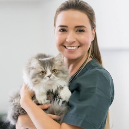 Atención veterinaria