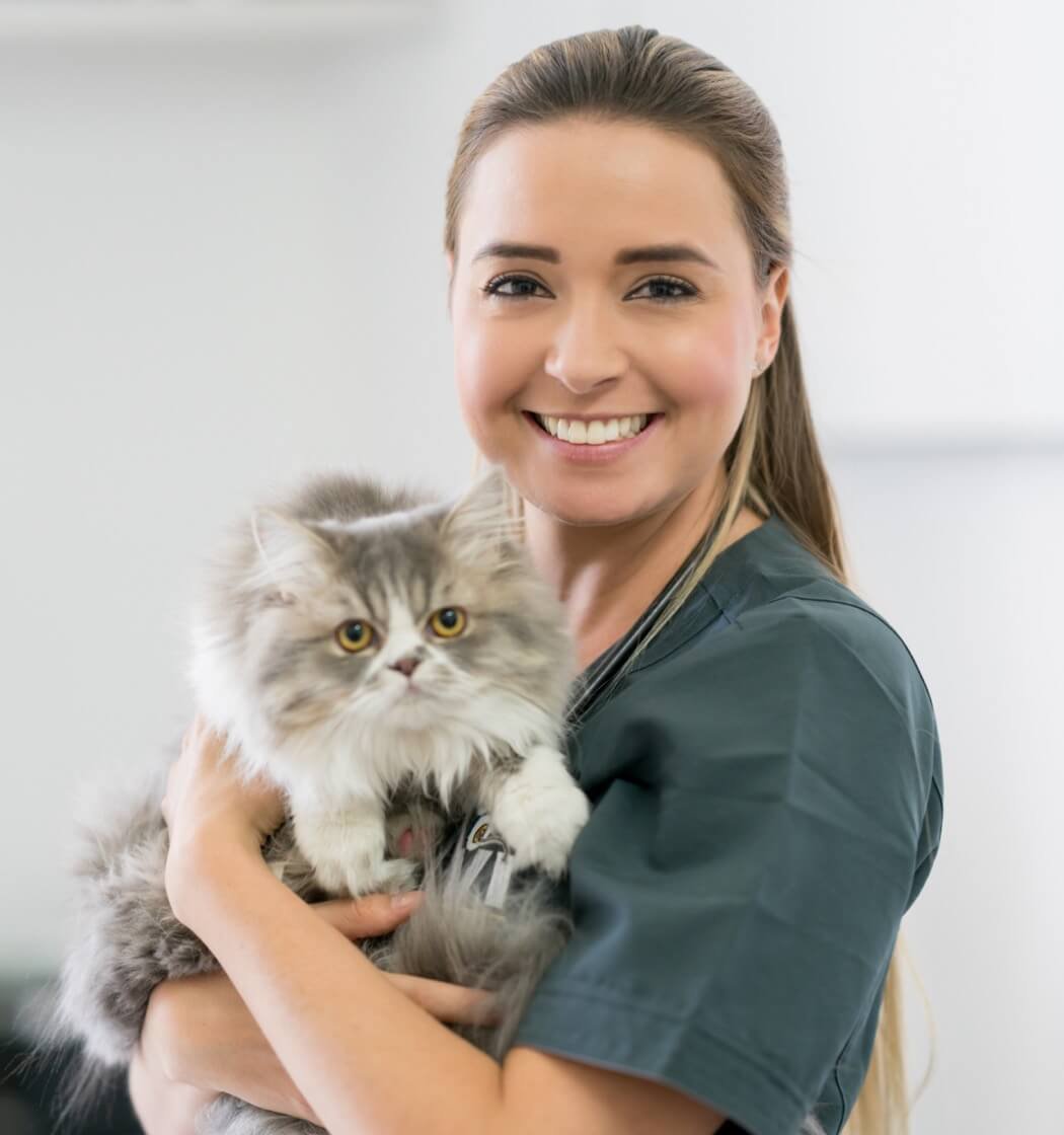 Atención veterinaria