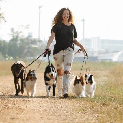 Paseos